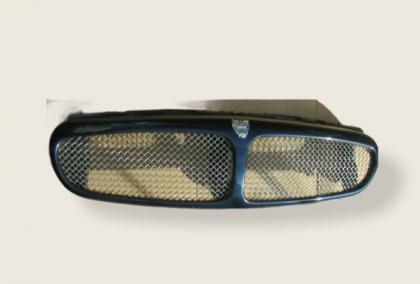 Grille mesh type R C2S43404XXX CALANDRE