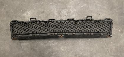 Grille C2Z16174-CX2M17H750AA